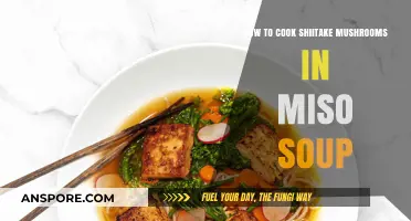 Savory Shiitake Miso Soup: Easy Cooking Tips for Umami Bliss