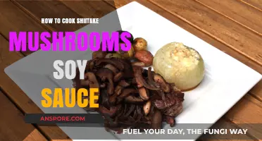 Savor Shiitake: Perfect Soy Sauce Glazed Mushroom Recipe Guide