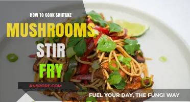 Mastering Shiitake Mushroom Stir Fry: Quick, Flavorful, and Healthy Recipe