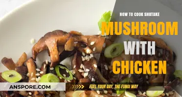 Savory Shiitake and Chicken: A Flavorful Stir-Fry Recipe Guide