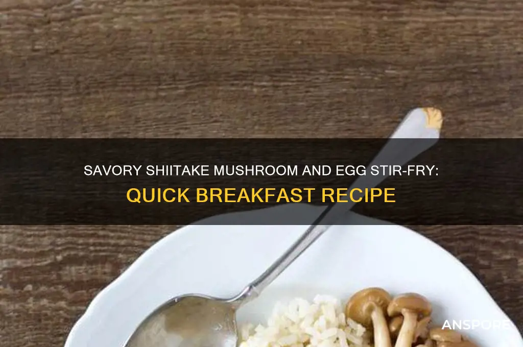 how to cook shiitake mushrooms with eggs