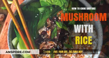 Perfect Shiitake Mushroom Rice: Easy, Flavorful, and Healthy Recipe Guide