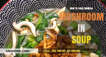 Delicious Shimeji Mushroom Soup: Easy Cooking Tips and Recipe