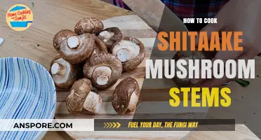 Delicious Shitaake Stems: Easy Cooking Tips and Recipes