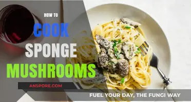 Mastering Sponge Mushrooms: Simple Steps for Perfectly Cooked Delicacy