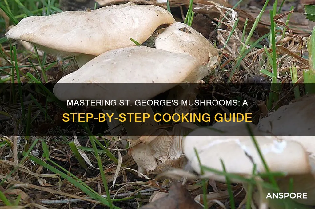 how to cook st george