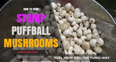 Mastering Stump Puffball Mushrooms: A Step-by-Step Cooking Guide