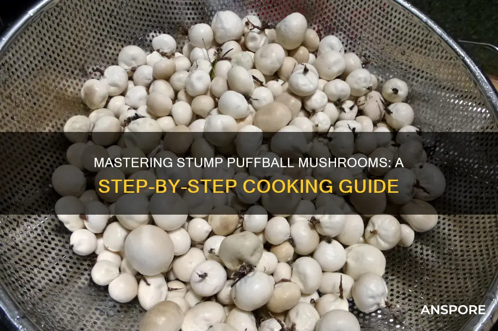 how to cook stump puffball mushrooms