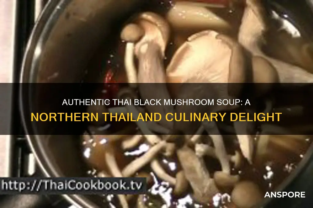 how to cook thai soup black mushroom form north thailand