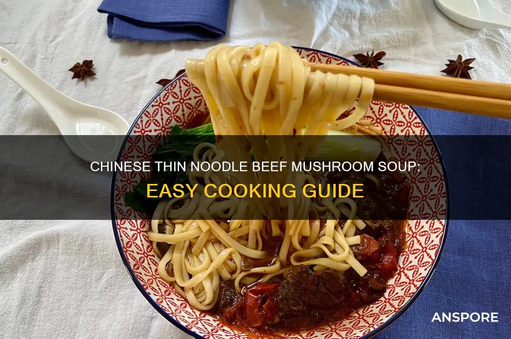 how to cook thin noodle with beef mushroom soup chinese