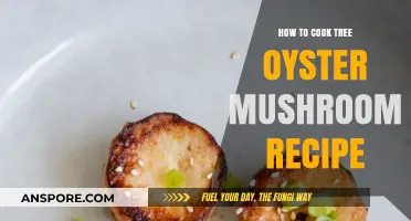 Delicious Tree Oyster Mushroom Recipe: Easy Cooking Guide for Beginners