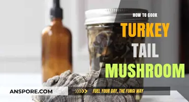 Mastering the Art of Cooking Turkey Tail Mushrooms: A Delicious Guide