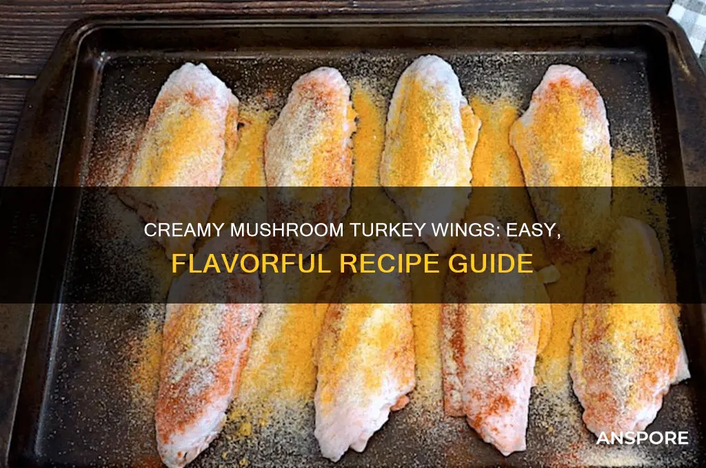 how to cook turkey wings with cream of mushroom soup