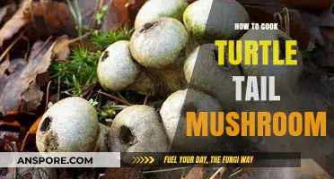 Mastering the Art of Cooking Turtle Tail Mushrooms: A Delicious Guide