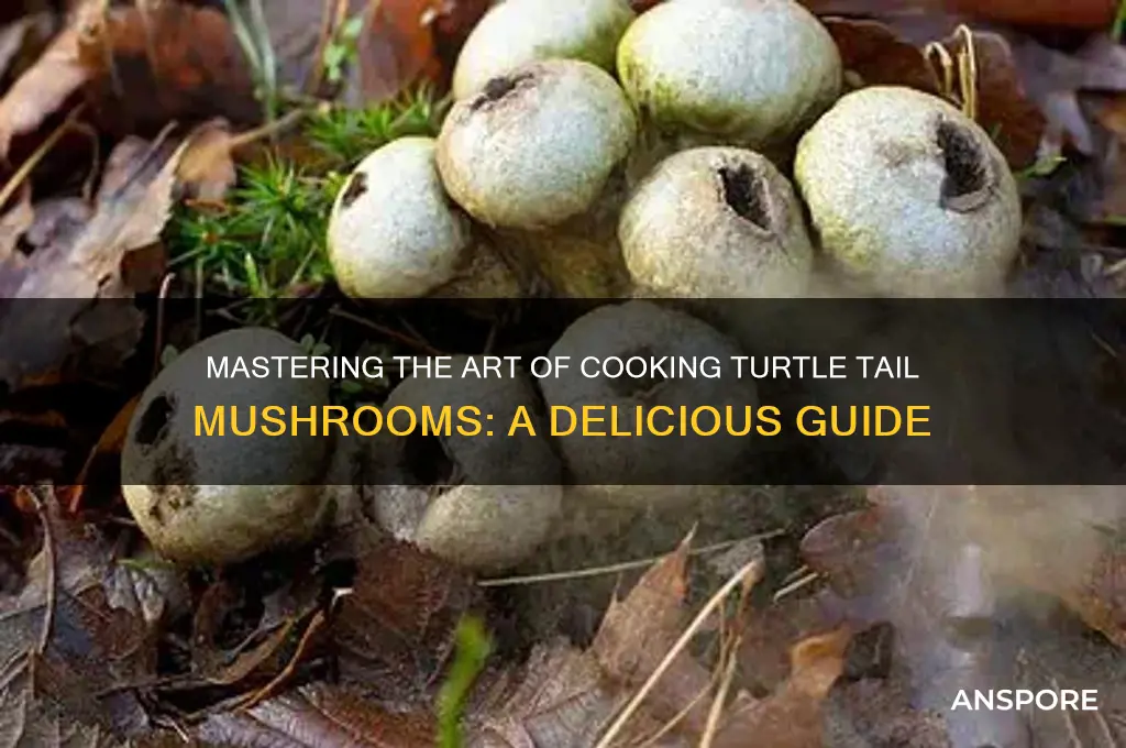 how to cook turtle tail mushrooms