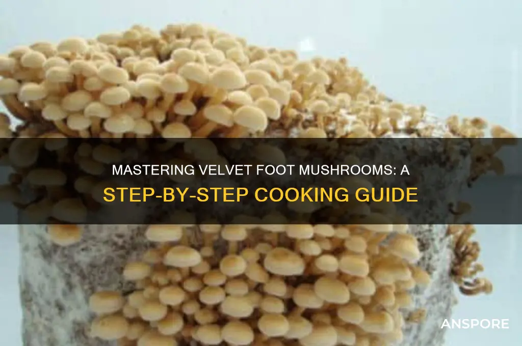 how to cook velvet foot mushrooms