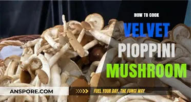 Velvet Pioppini Mushrooms: A Simple Guide to Cooking Perfection