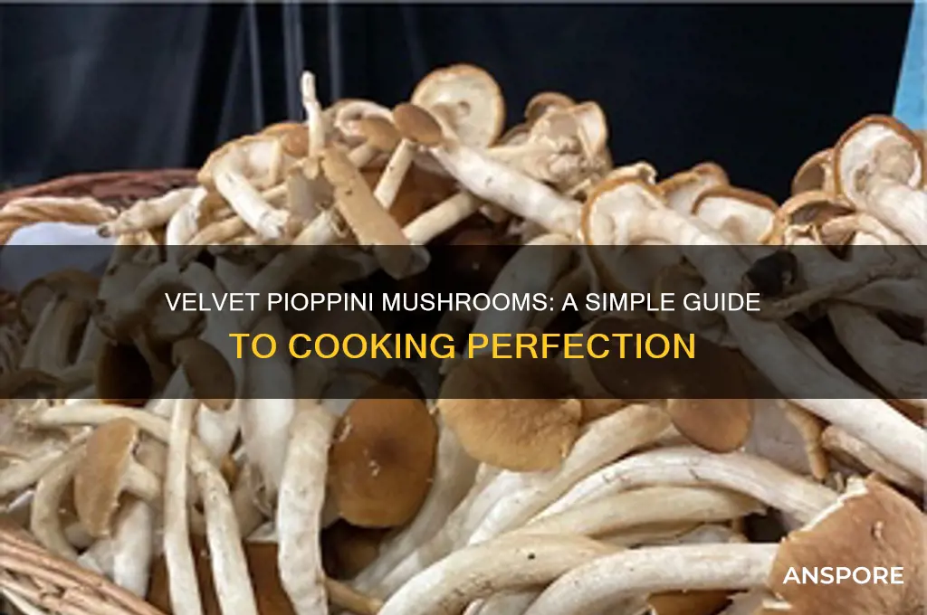 how to cook velvet pioppini mushrooms
