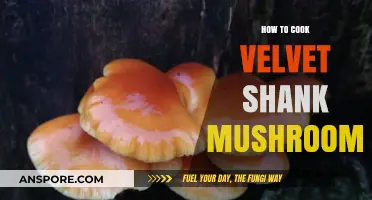 Mastering Velvet Shank Mushrooms: A Step-by-Step Cooking Guide