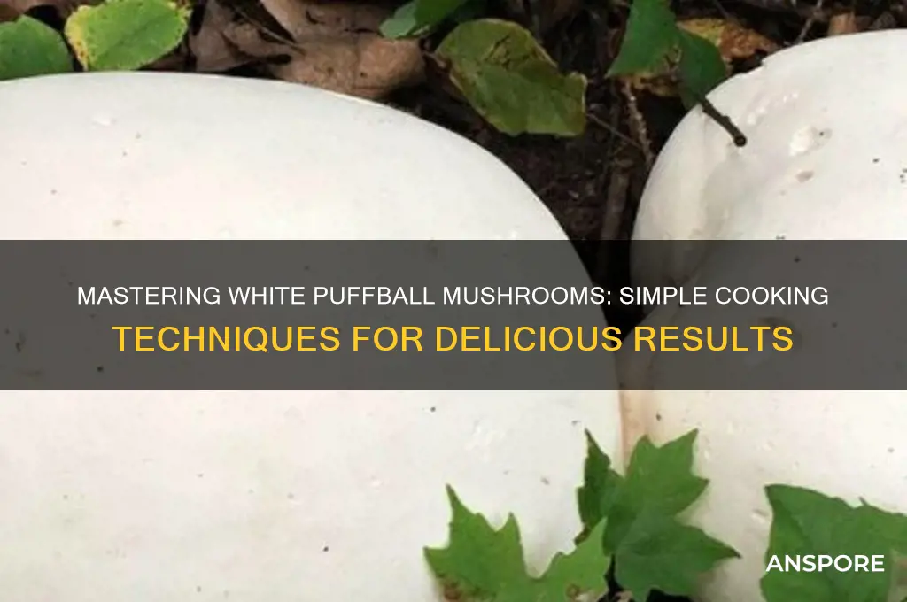 how to cook white puffball mushrooms