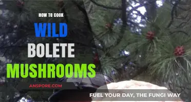 Mastering Wild Bolete Mushrooms: A Step-by-Step Cooking Guide