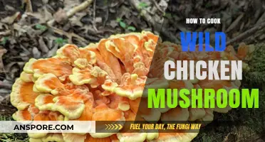 Mastering Wild Chicken Mushroom Cooking: Tips, Recipes, and Techniques