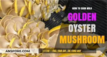 Mastering Wild Golden Oyster Mushrooms: Simple Cooking Techniques for Delicious Results