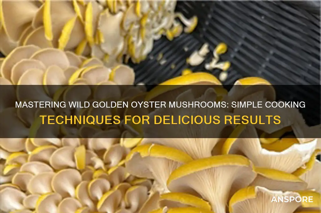 how to cook wild golden oyster mushrooms