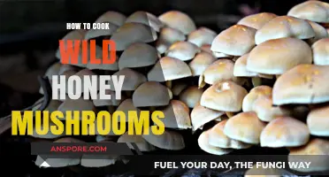 Mastering Wild Honey Mushrooms: A Delicious Cooking Guide