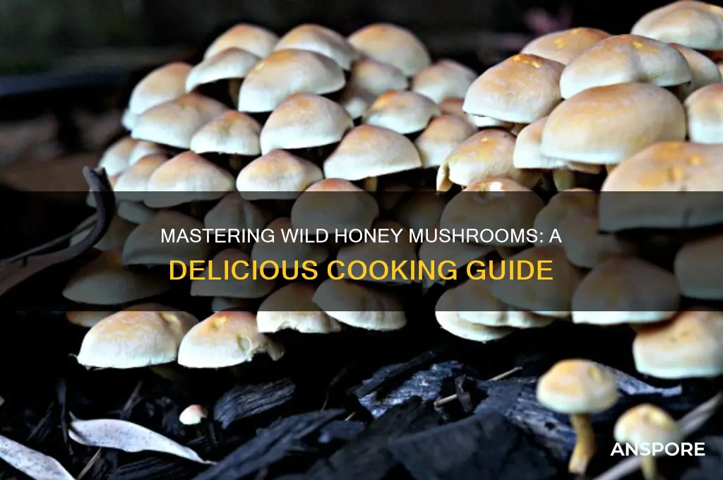 how to cook wild honey mushrooms