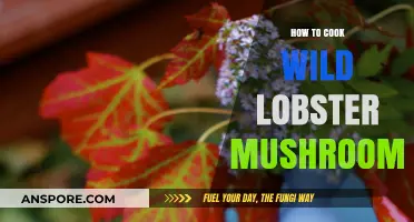 Mastering Wild Lobster Mushrooms: A Step-by-Step Cooking Guide