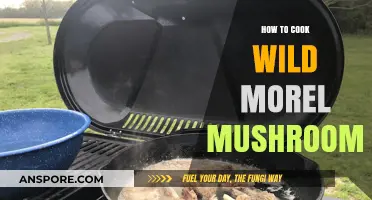 Mastering Wild Morel Mushrooms: A Step-by-Step Cooking Guide