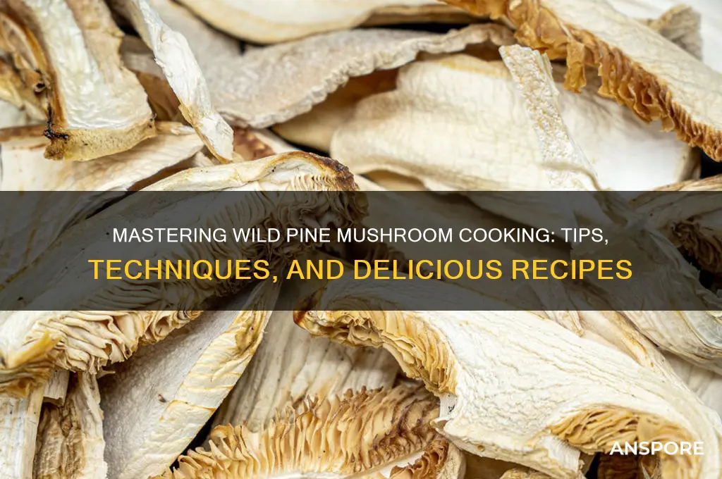 how to cook wild pine mushrooms