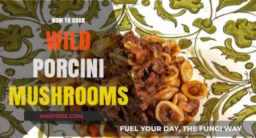 Mastering Wild Porcini Mushrooms: A Delicious Cooking Guide