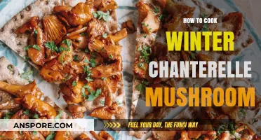 Mastering Winter Chanterelle Mushrooms: A Delicious Seasonal Cooking Guide