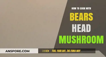Mastering the Art of Cooking with Bears Head Mushrooms