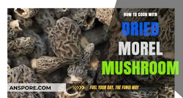 Mastering Morel Magic: Cooking with Dried Morel Mushrooms