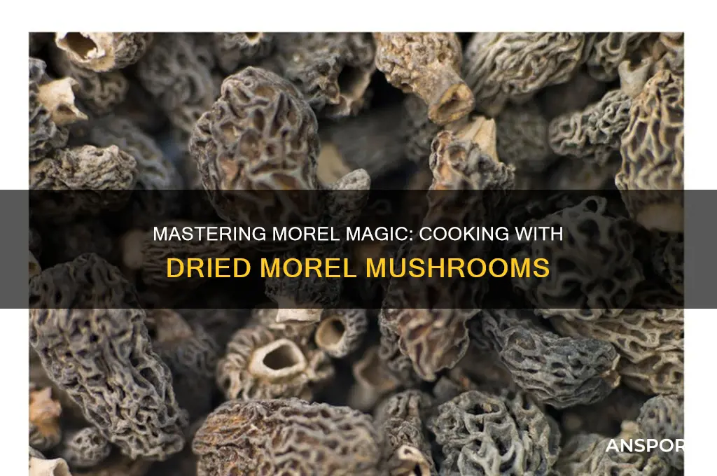 how to cook with dried morel mushrooms