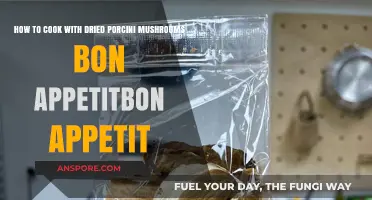Mastering Dried Porcini Mushrooms: Bon Appétit's Ultimate Cooking Guide