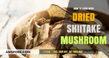 Mastering Dried Shiitake Mushrooms: Flavorful Cooking Tips and Recipes
