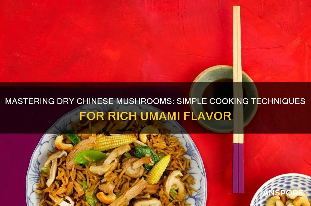 how to cook with dry chinese mushrooms