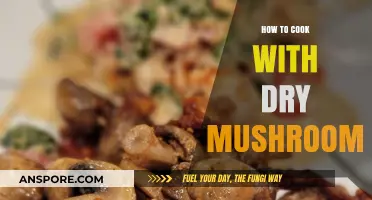 Mastering Dry Mushrooms: Tips and Recipes for Flavorful Cooking