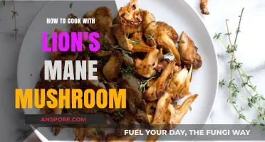 Mastering Lion's Mane Mushroom: Creative Cooking Tips and Recipes