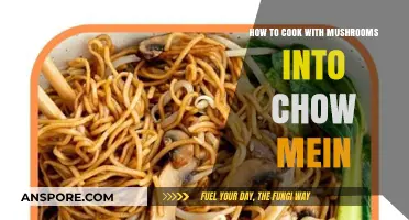 Mastering Mushroom Chow Mein: Easy Steps for Flavorful Noodle Perfection
