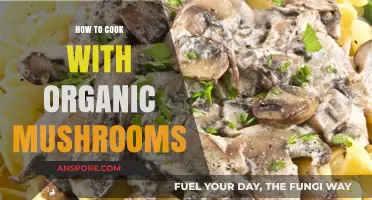 Mastering Organic Mushroom Cooking: Tips, Recipes, and Health Benefits