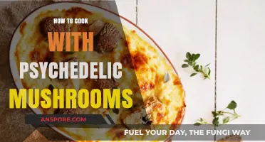 Exploring Culinary Magic: Cooking with Psychedelic Mushrooms Safely and Creatively