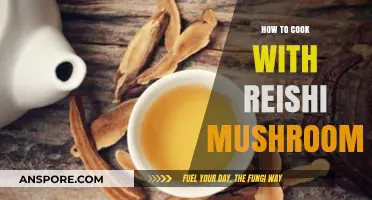 Unlocking Reishi's Magic: A Beginner's Guide to Cooking with Medicinal Mushrooms