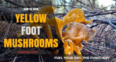 Mastering Yellow Foot Mushrooms: A Simple Cooking Guide for Beginners