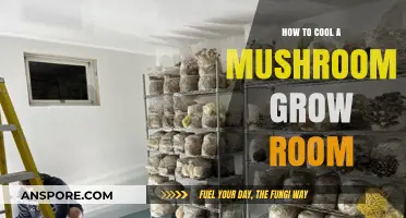 Effective Cooling Strategies for Optimal Mushroom Grow Room Conditions