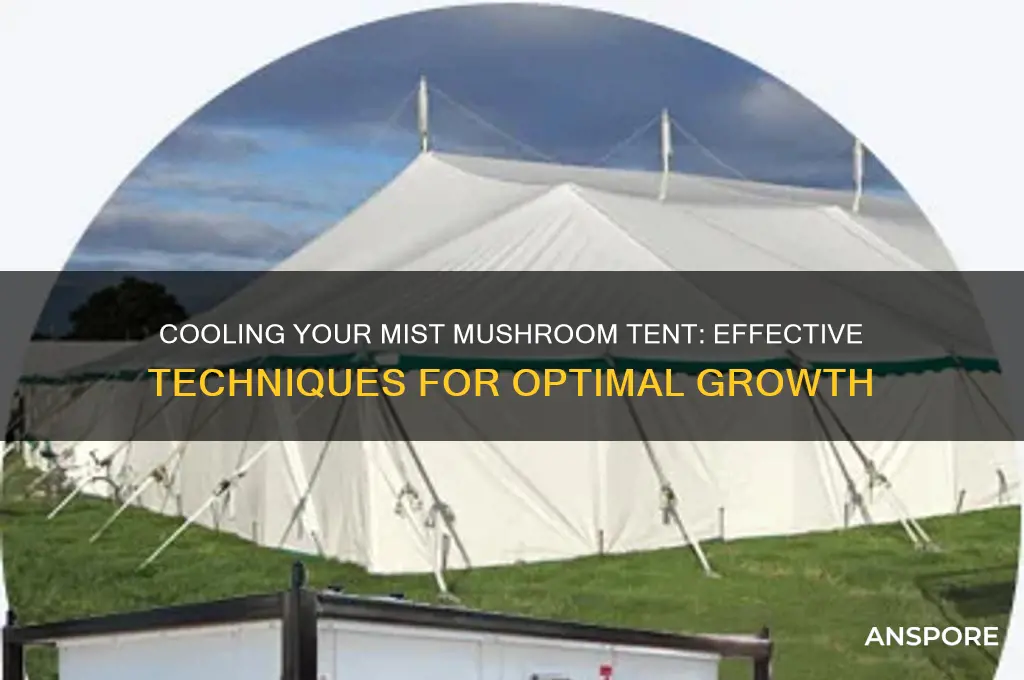 how to cool mist mushroom tent